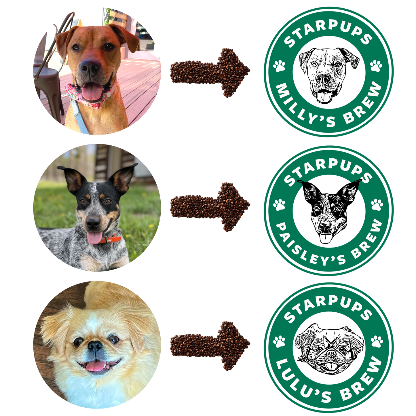 STARPUPS Custom Dog Portrait TShirt