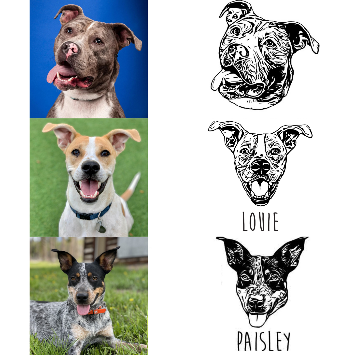 Copy of Custom Dog Portrait (2 Dogs) - DIGITAL PRODUCT